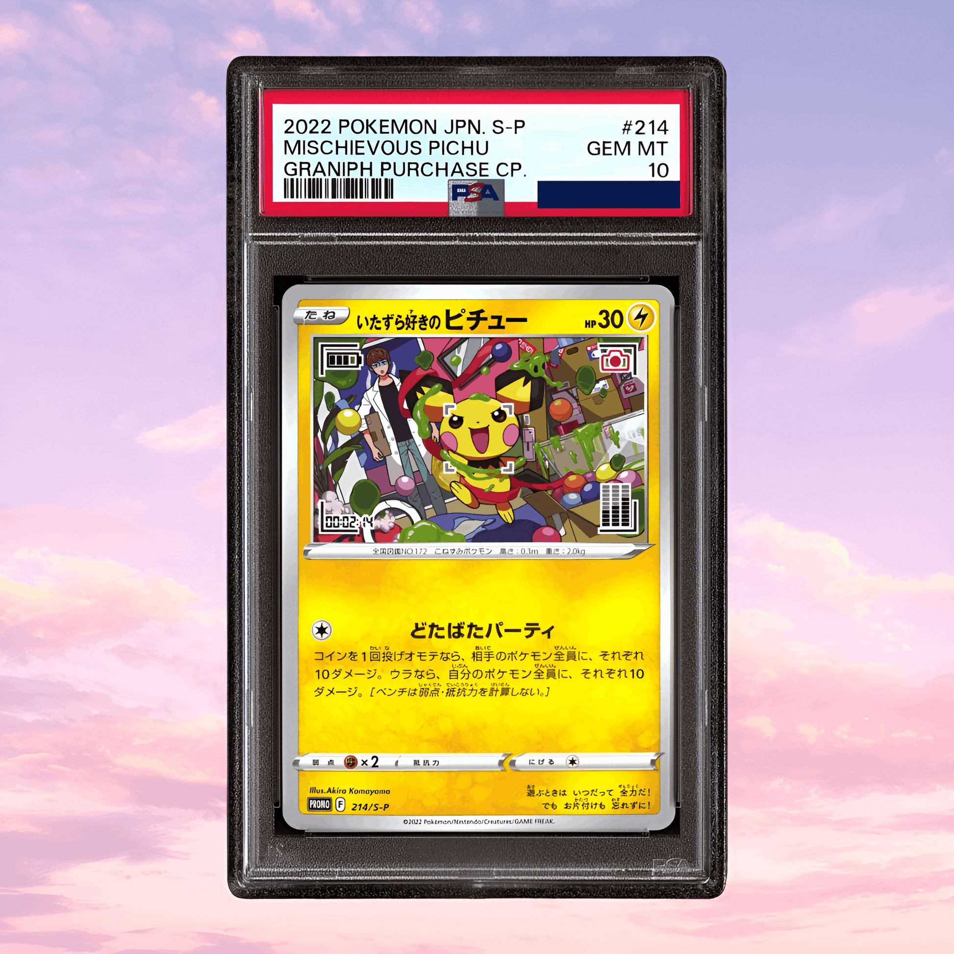 Pokemon Mischievous Pichu #214 Graniph Promo Japanese PSA 10
